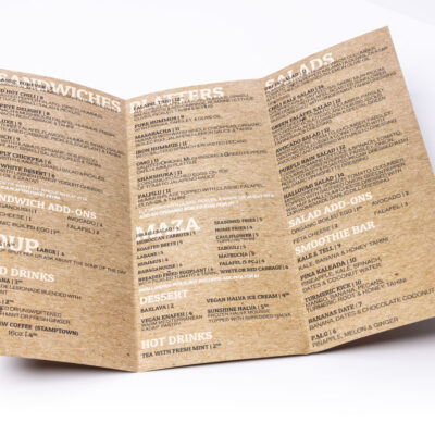 Next Day Brochures 10