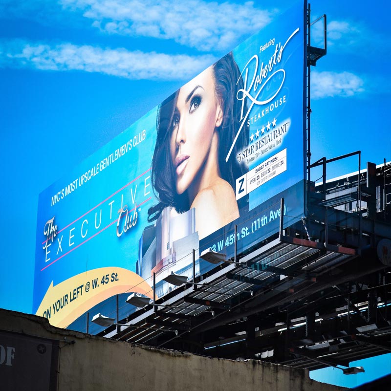 Vinyl Banners 7